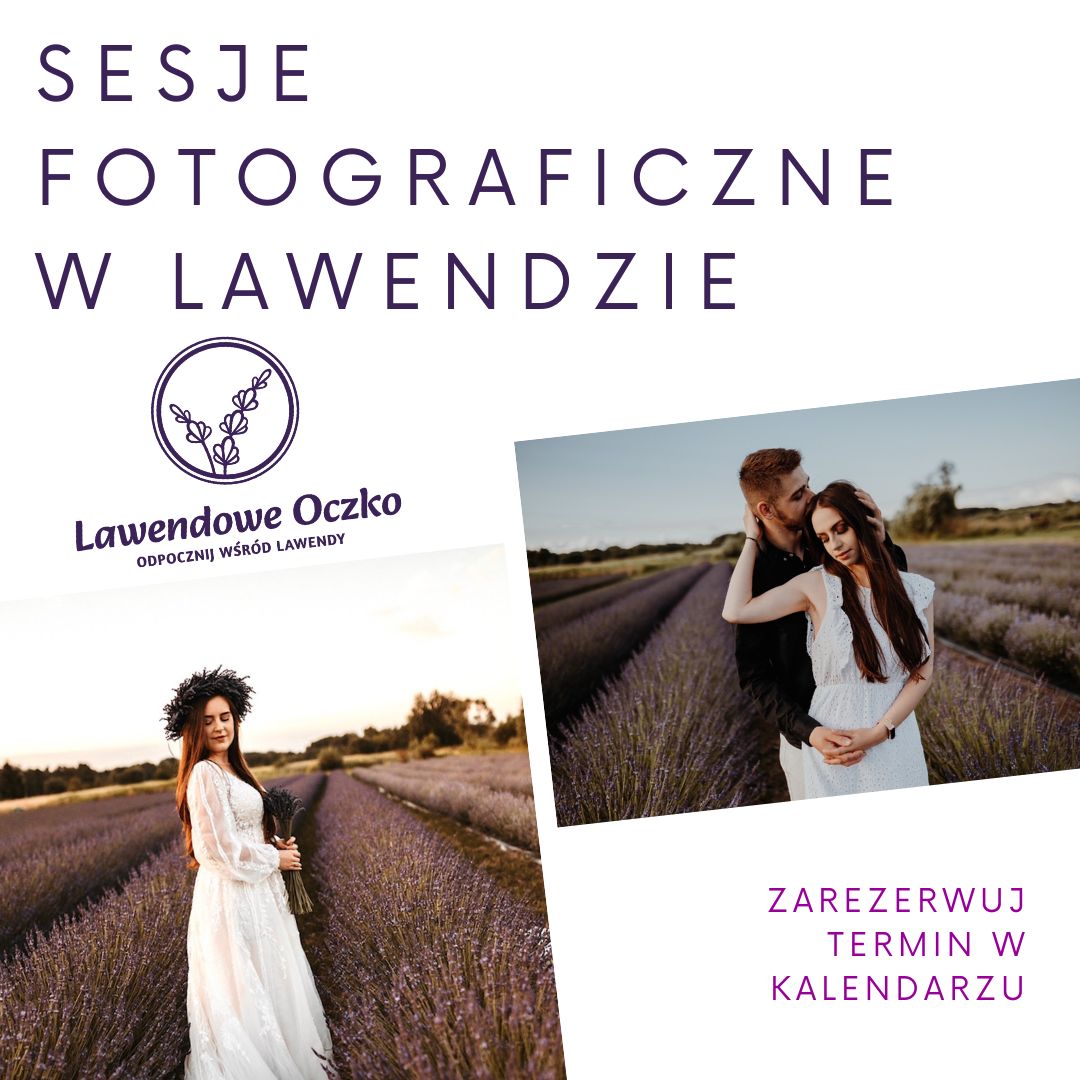 Sesje fotograficzne w lawendzie