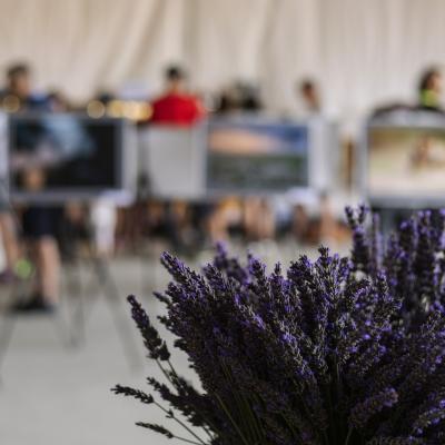 Wystawa najlepszych zdjęć przyrody a Lawendowym Oczku 2023