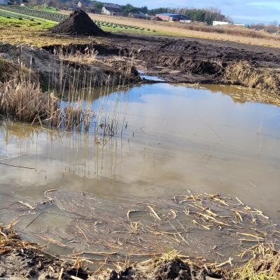 Pora na porządki przy oczku wodnym na Lawendowym Oczku