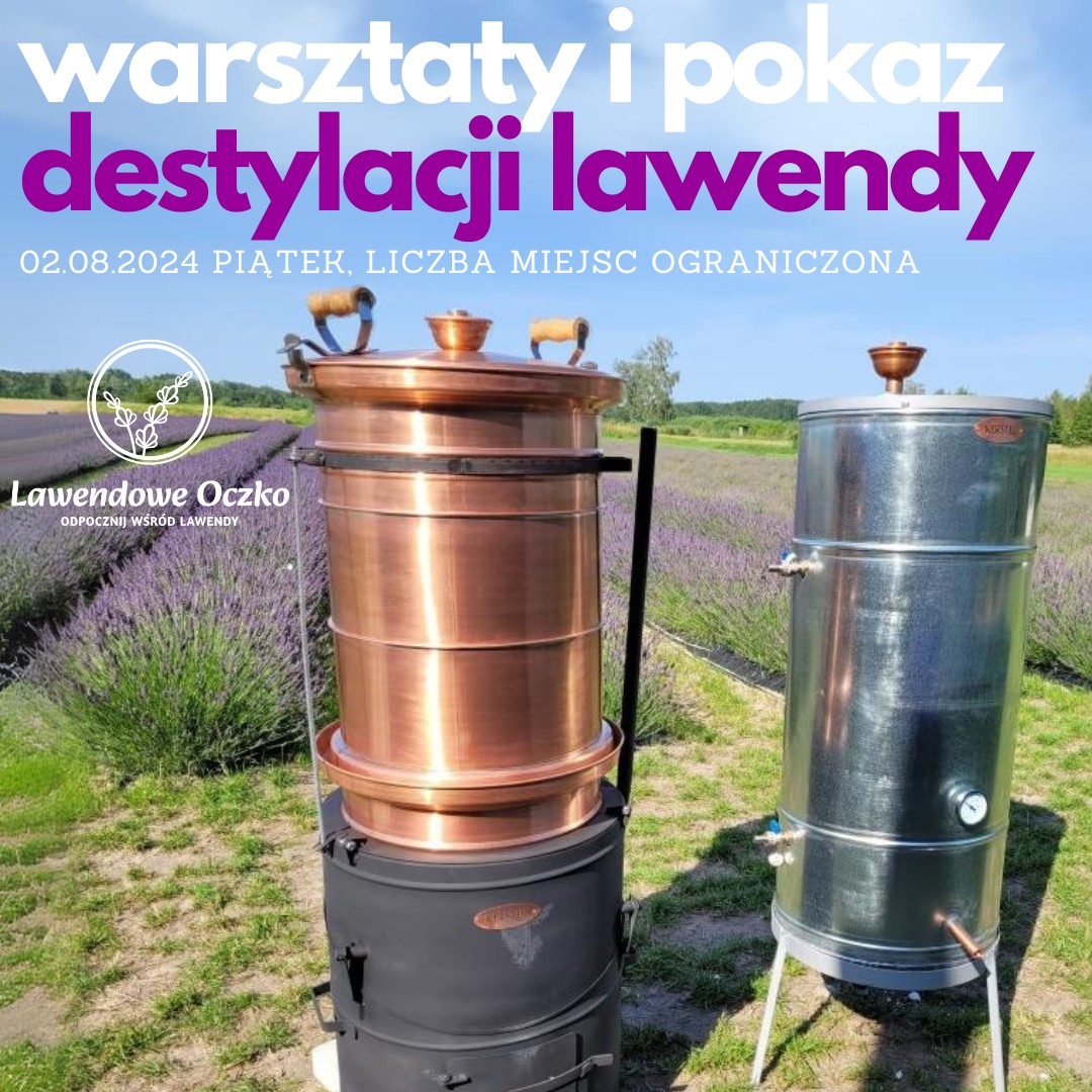 Warsztaty i pokaz destylacji lawendy